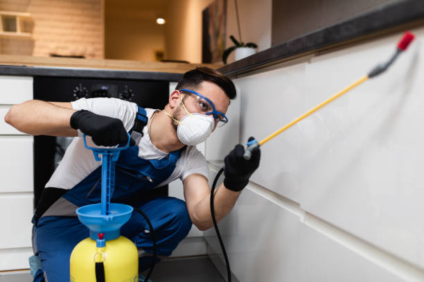 Best Ant Control Services  in Wakefield, MI