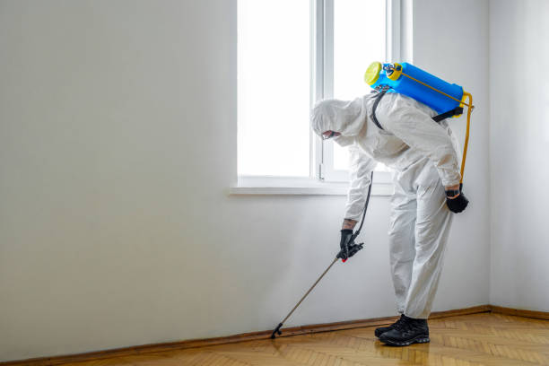 Best Exterminator Services  in Wakefield, MI