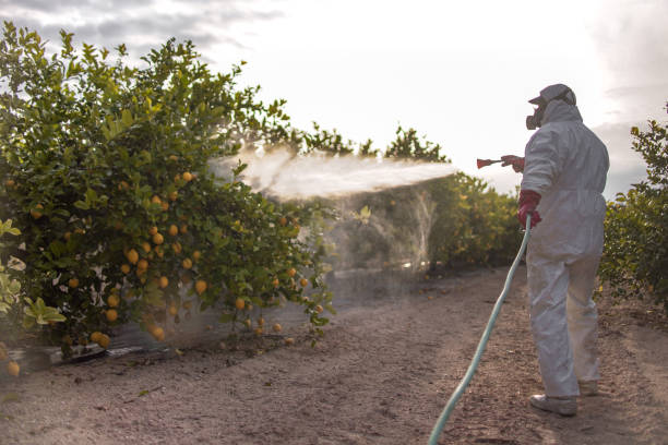 Reliable Wakefield, MI Pest Control Solutions