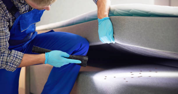 Best Bed Bug Extermination  in Wakefield, MI