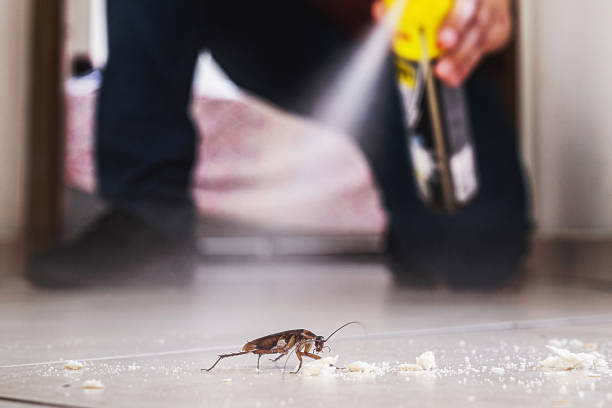 Best Commercial Pest Control Services  in Wakefield, MI