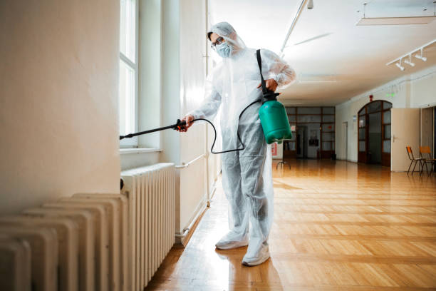 Best Cockroach Control Services  in Wakefield, MI