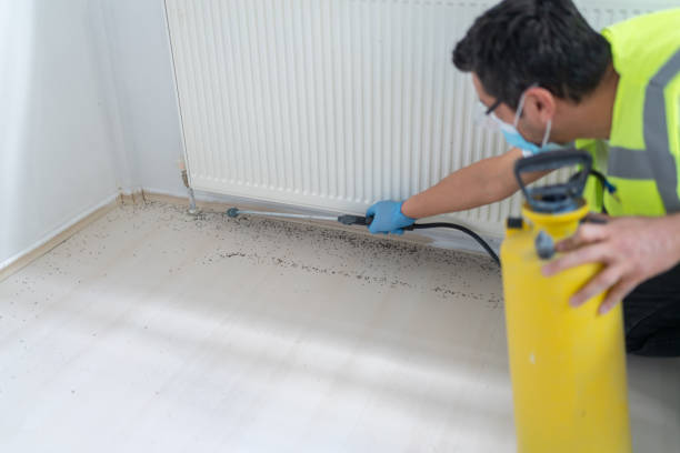 Best Pest Control Near Me  in Wakefield, MI