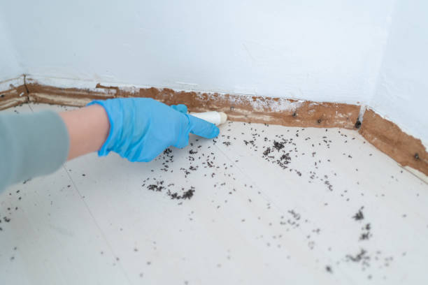 Best Pest Control for Restaurants  in Wakefield, MI