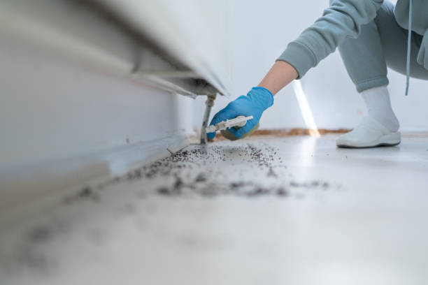 Best Flea Control Services  in Wakefield, MI