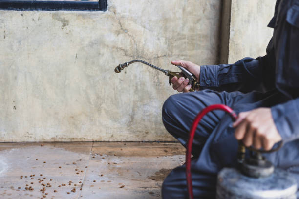 Best Affordable Pest Control Services  in Wakefield, MI