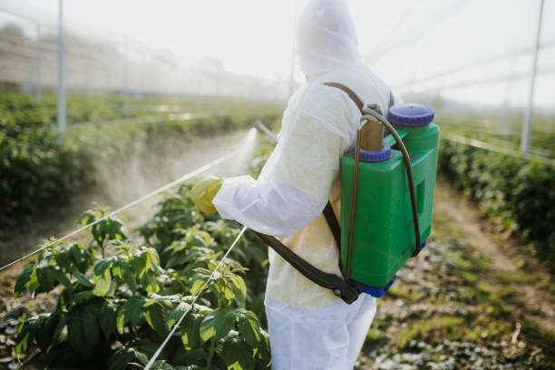 Best Insect Control  in Wakefield, MI